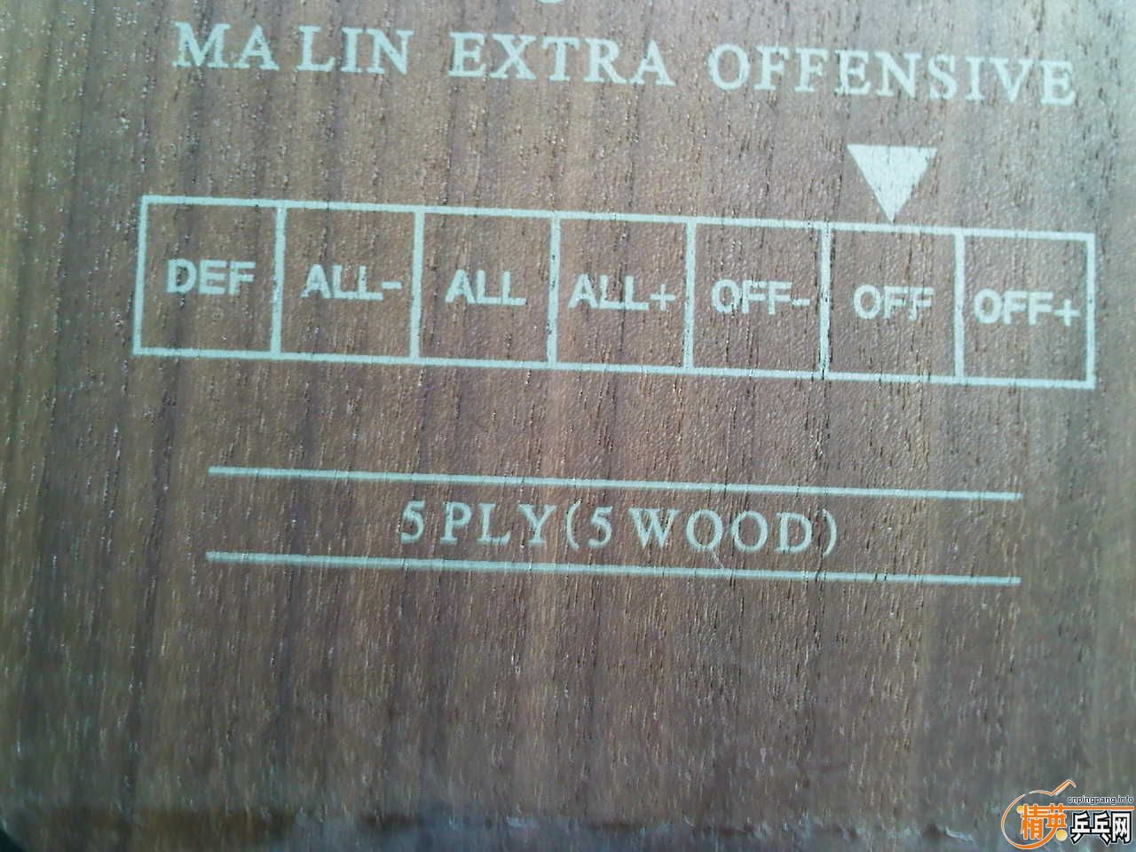 ���˳������ƺ�������һ�������ӣ�ȫ�����ʣ�