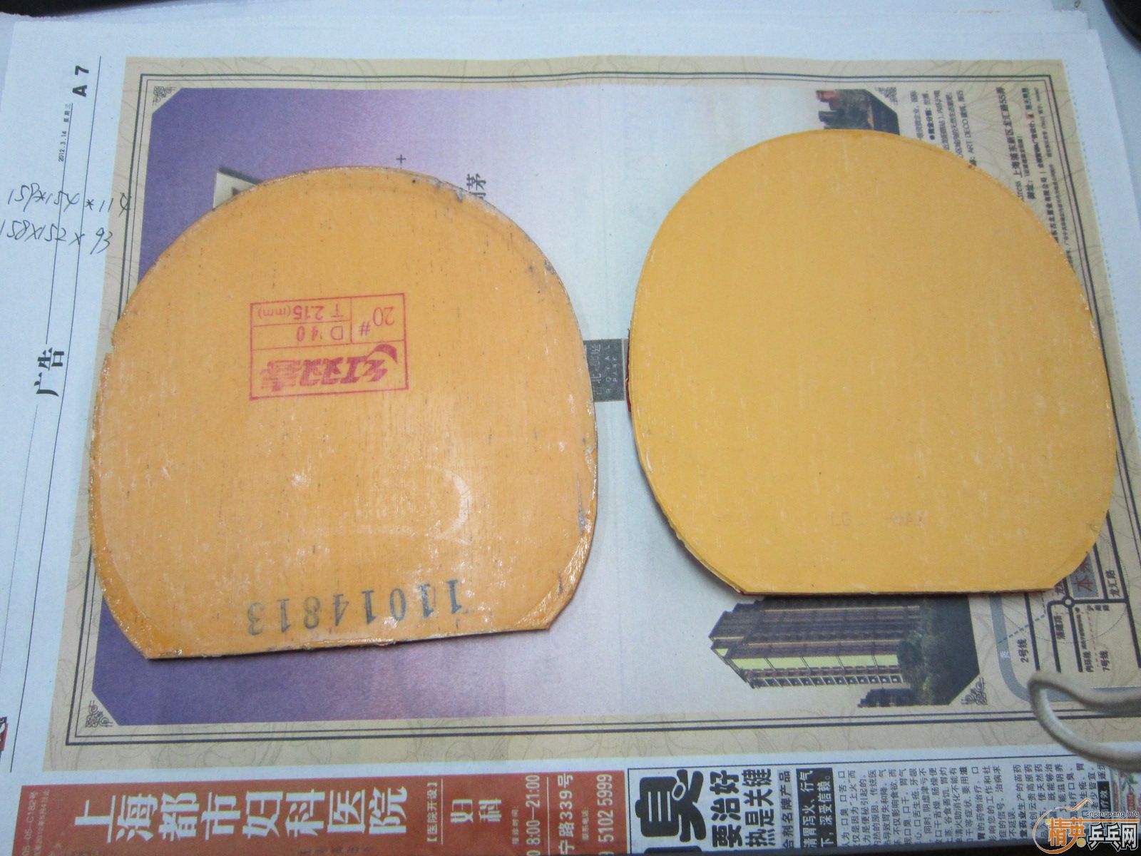 EL��ʡ������  ���