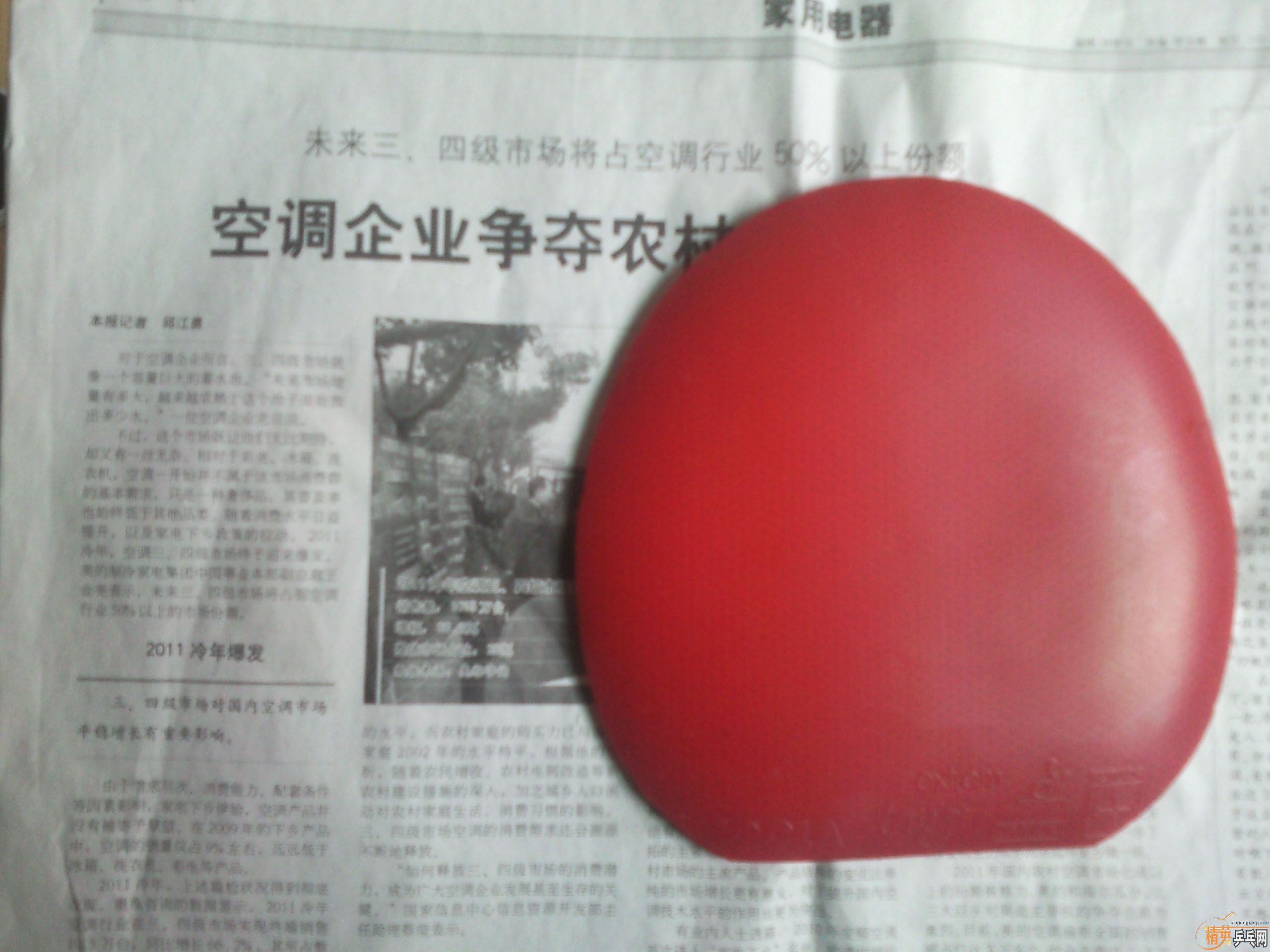 ���õĶ�Ƥ����