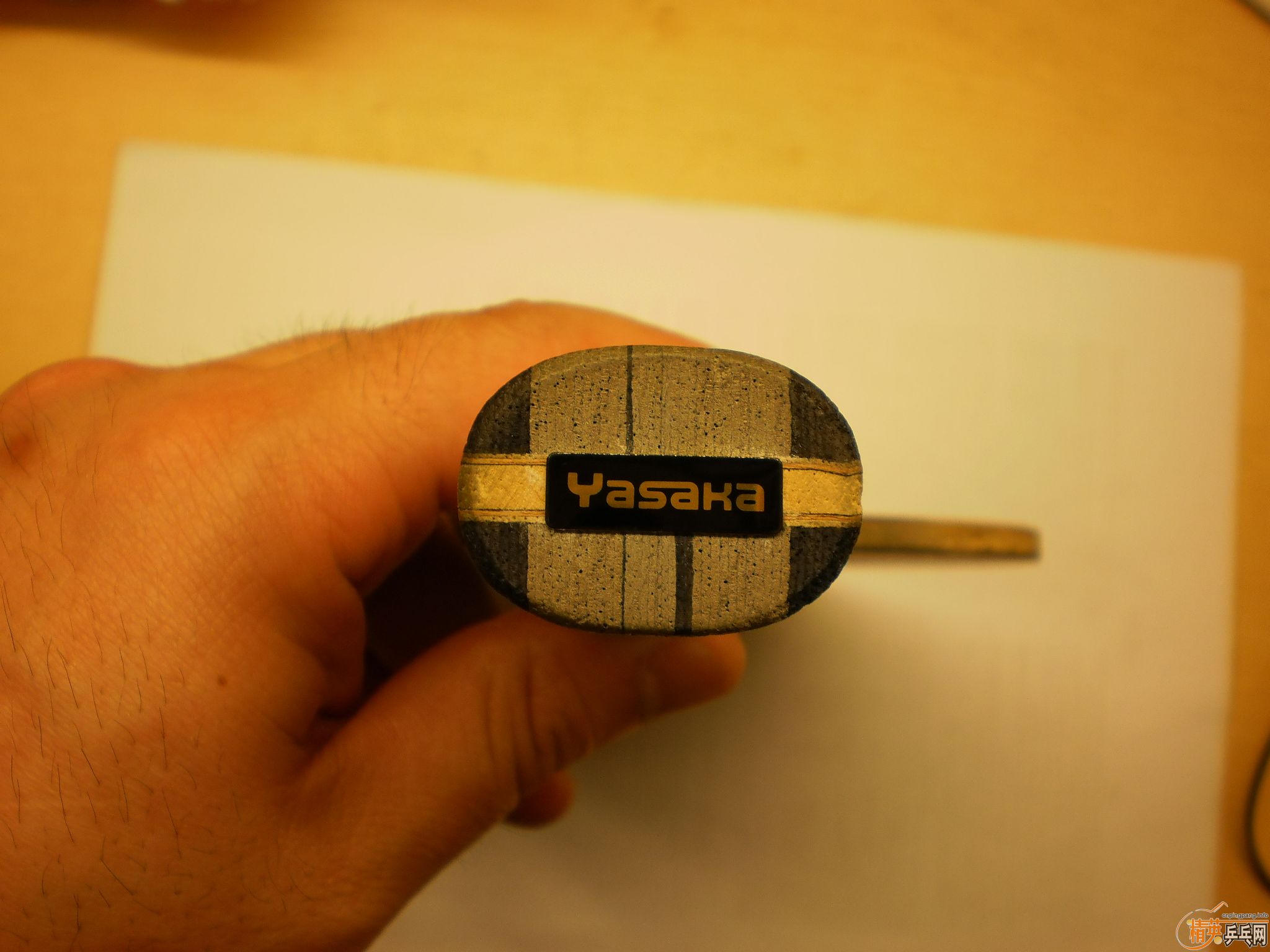 stiga ŷ������̼����yasaka�հ�����̼