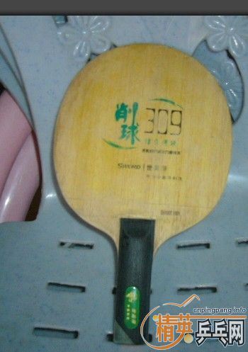 µ309+ʡ