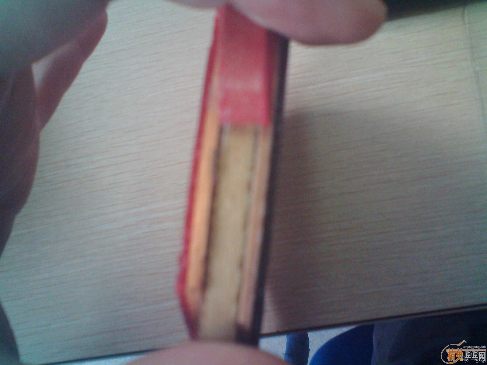 ������У�о���������һ���л�YEO