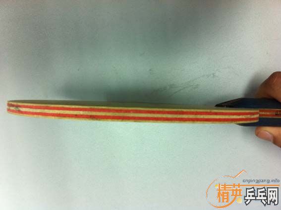 �� ����OC joola viva