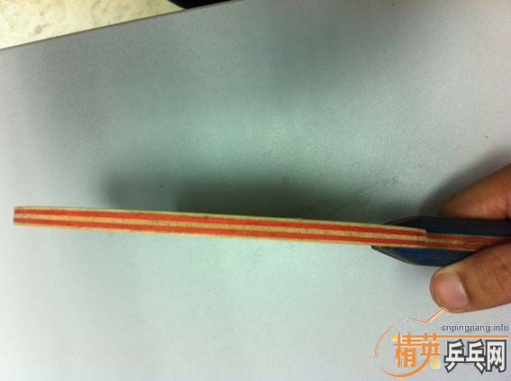 �� ����OC joola viva