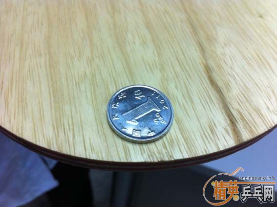 �� ����OC joola viva