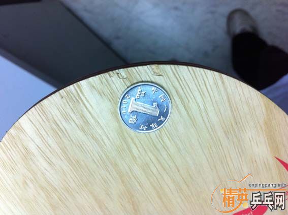 �� ����OC joola viva