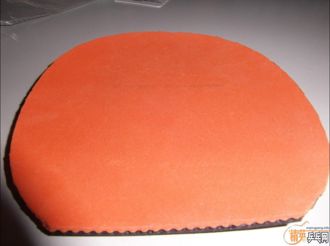 �ͼ������8���� T05�ձ���ѧר���� QQ1623851634