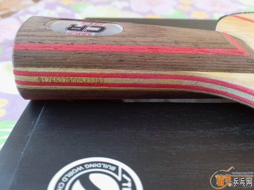 ֧��������9.9�� CL-CR     ����������