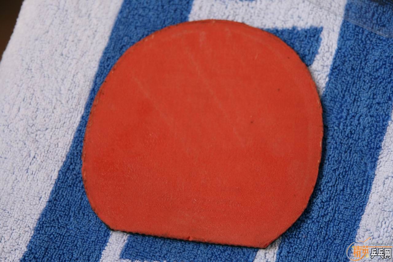 ��רҵ��˹���֣�T05