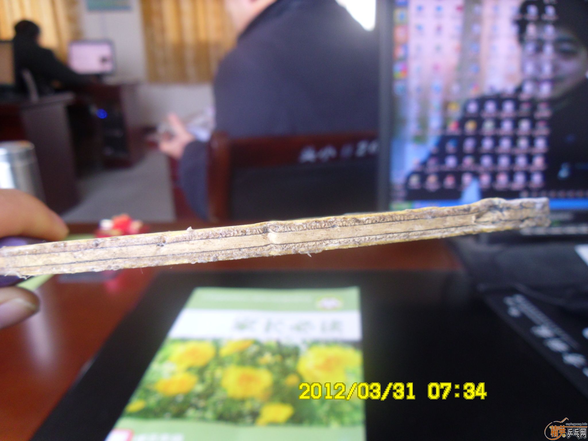 ���µý������ֱ������