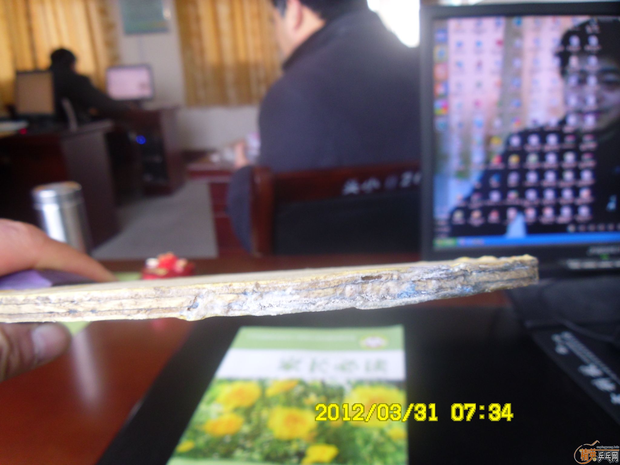 ���µý������ֱ������