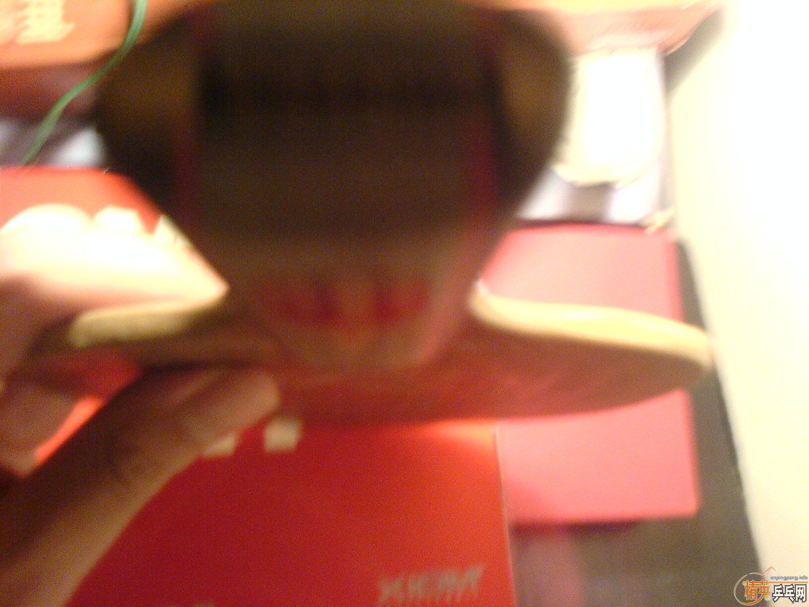 ֧�����������հ�ya40