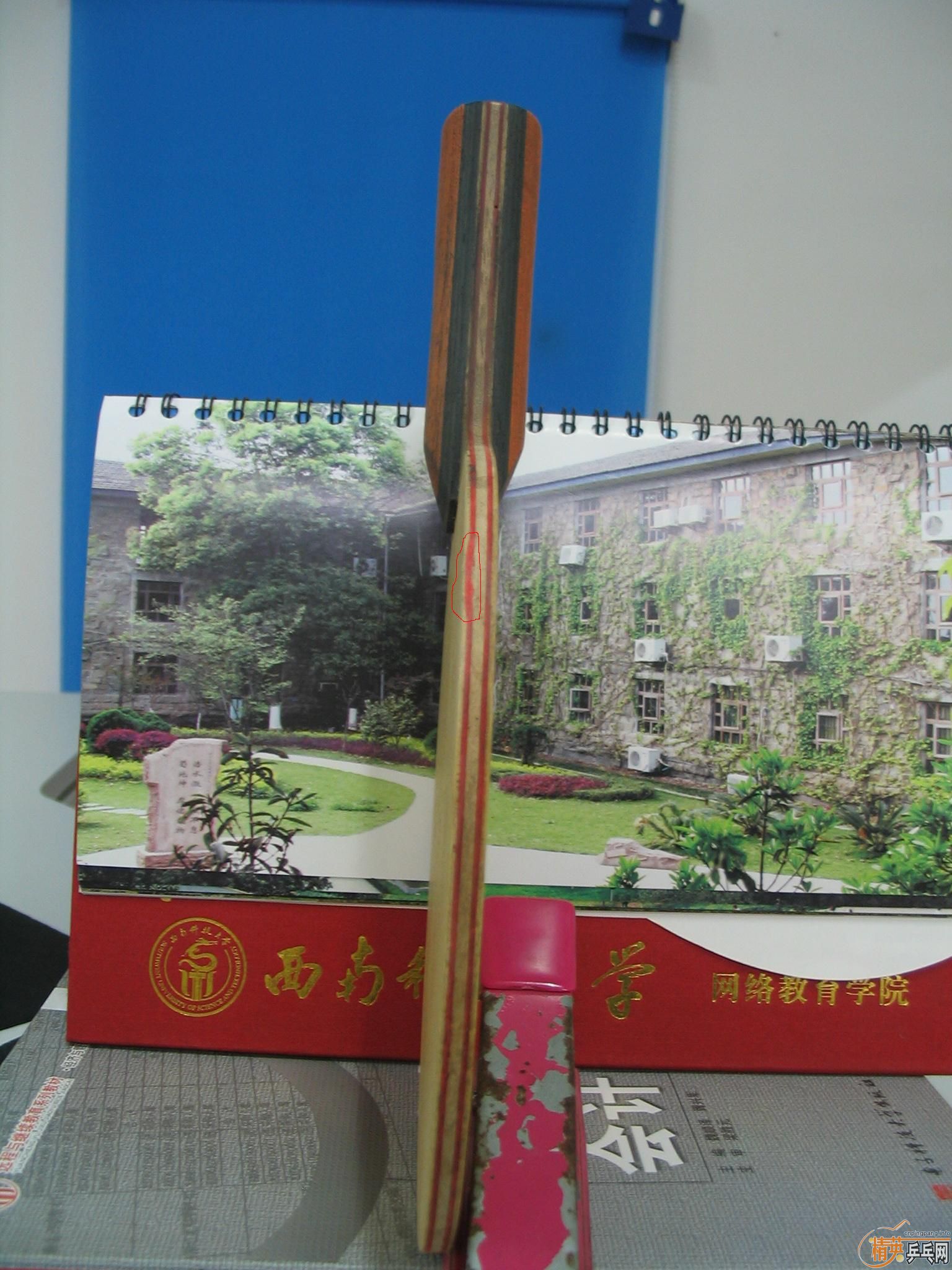 ��ɣ��������ά����V5FL����˫ϲ����3FL��