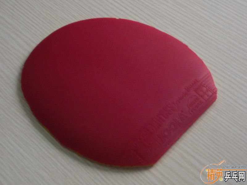 С��+ľ����+8�����ָн�Ƥ 900��˳��