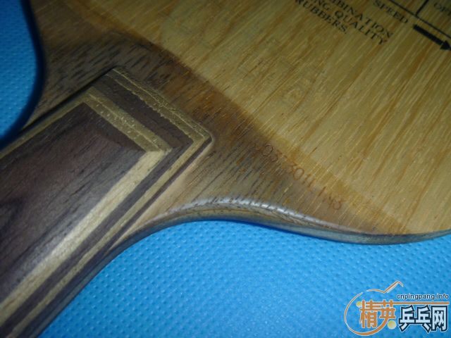 ���Ʊ���