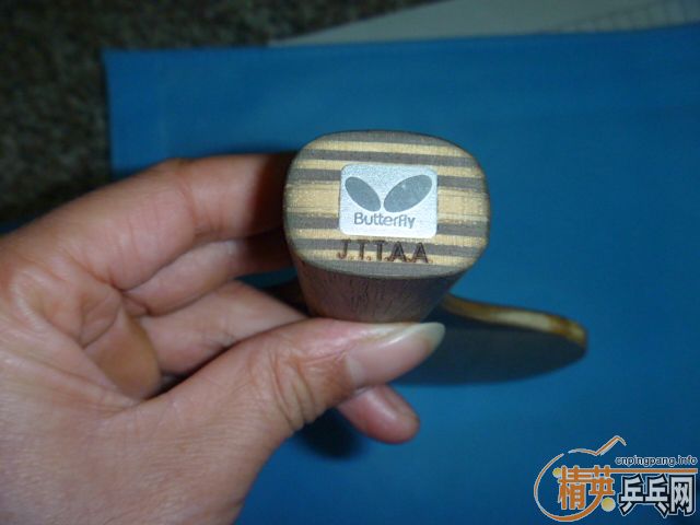 ���Ʊ���