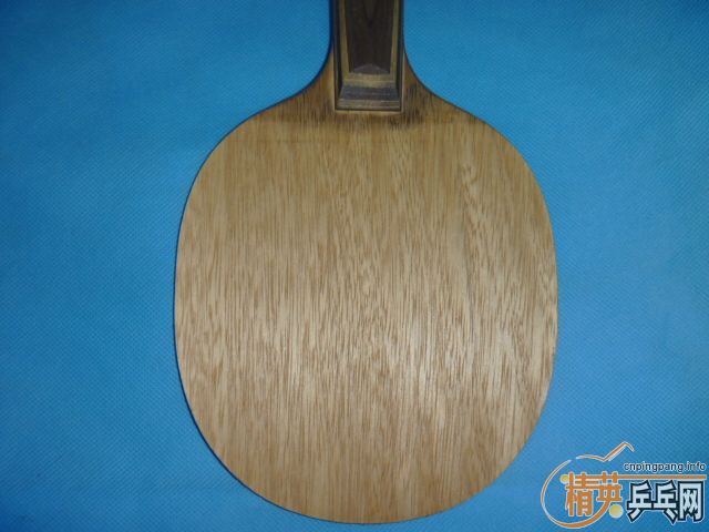 ���Ʊ���