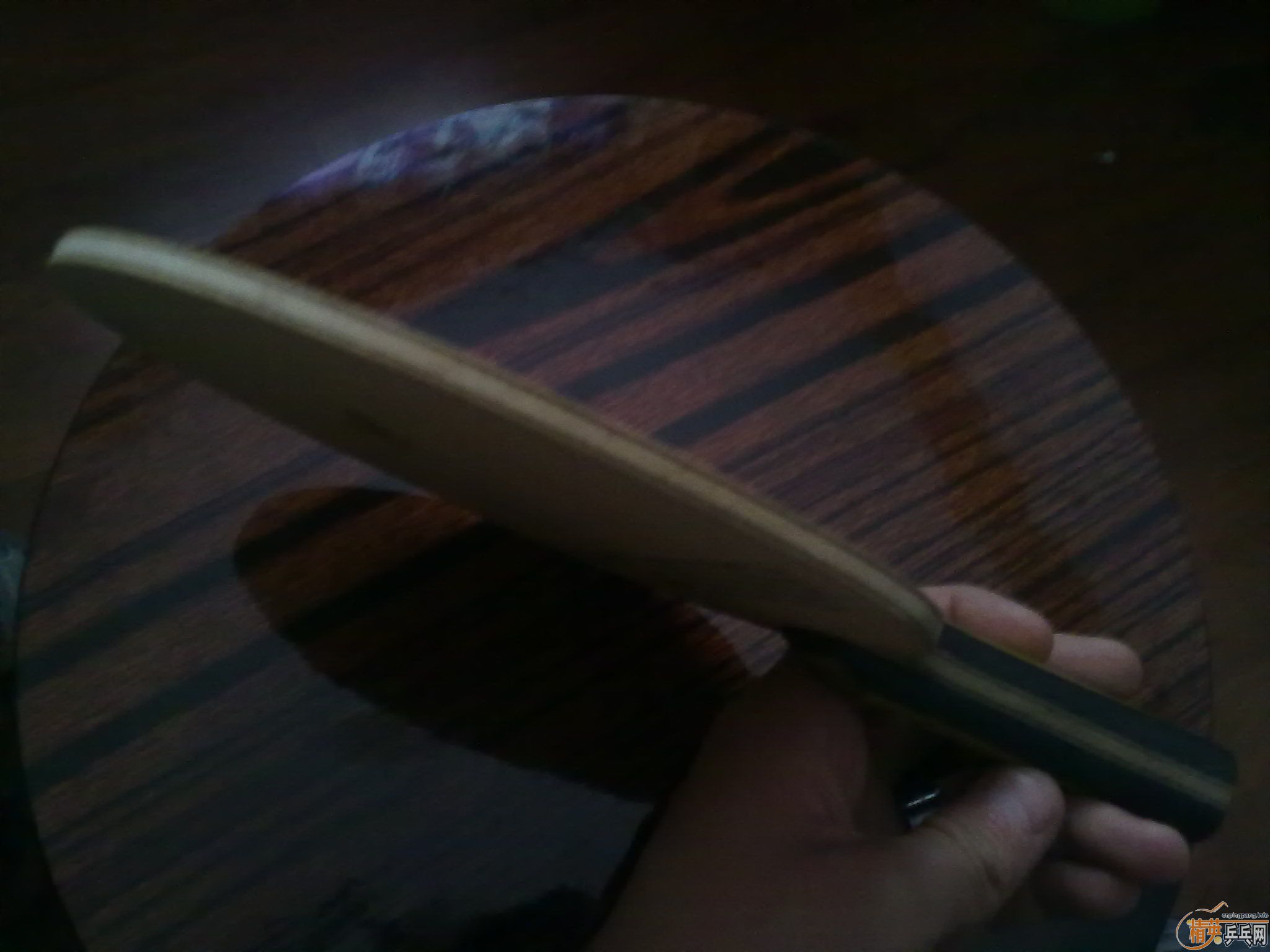 ��ֳ���������˦��