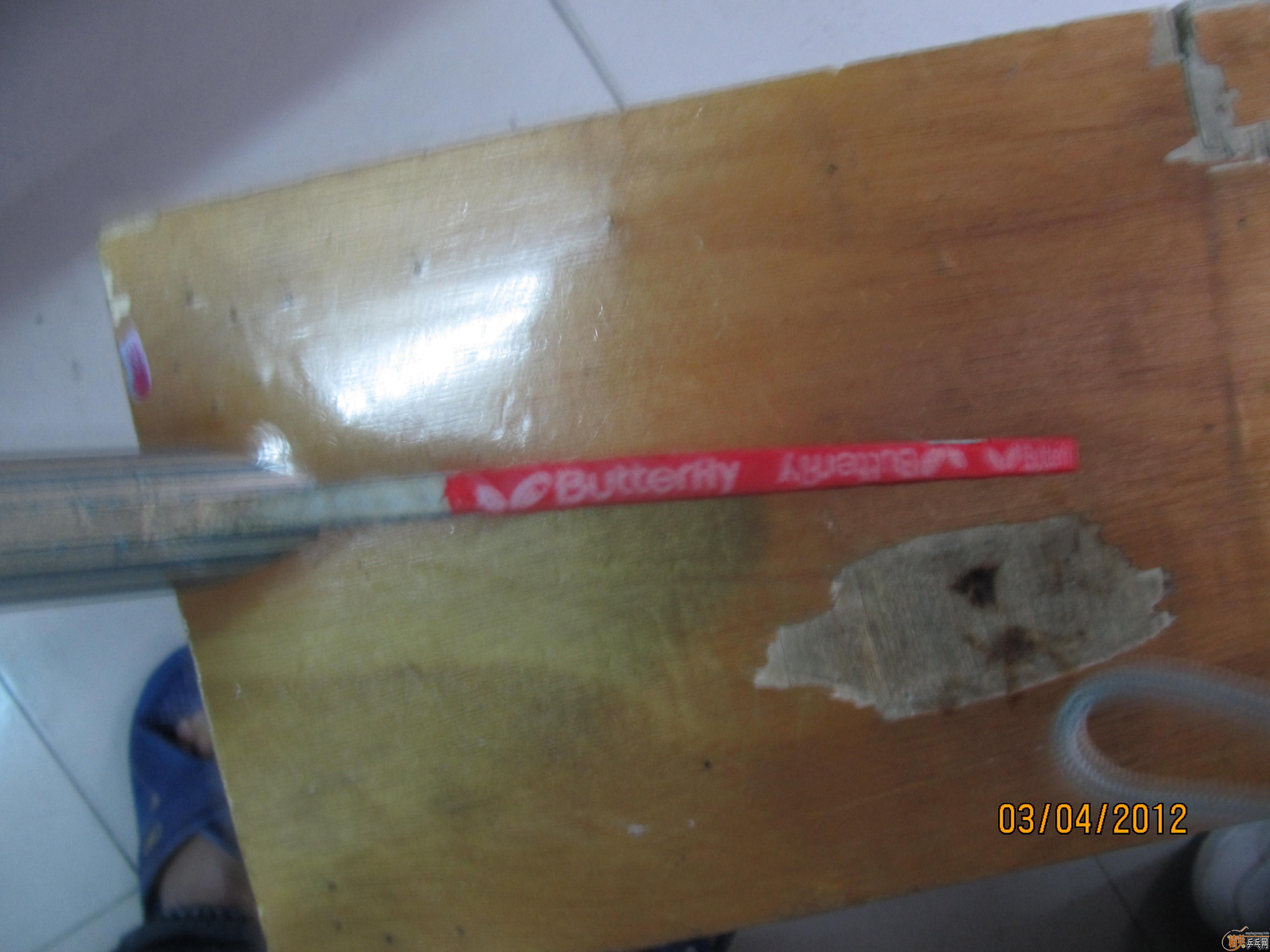 ��ֳ���������˦��