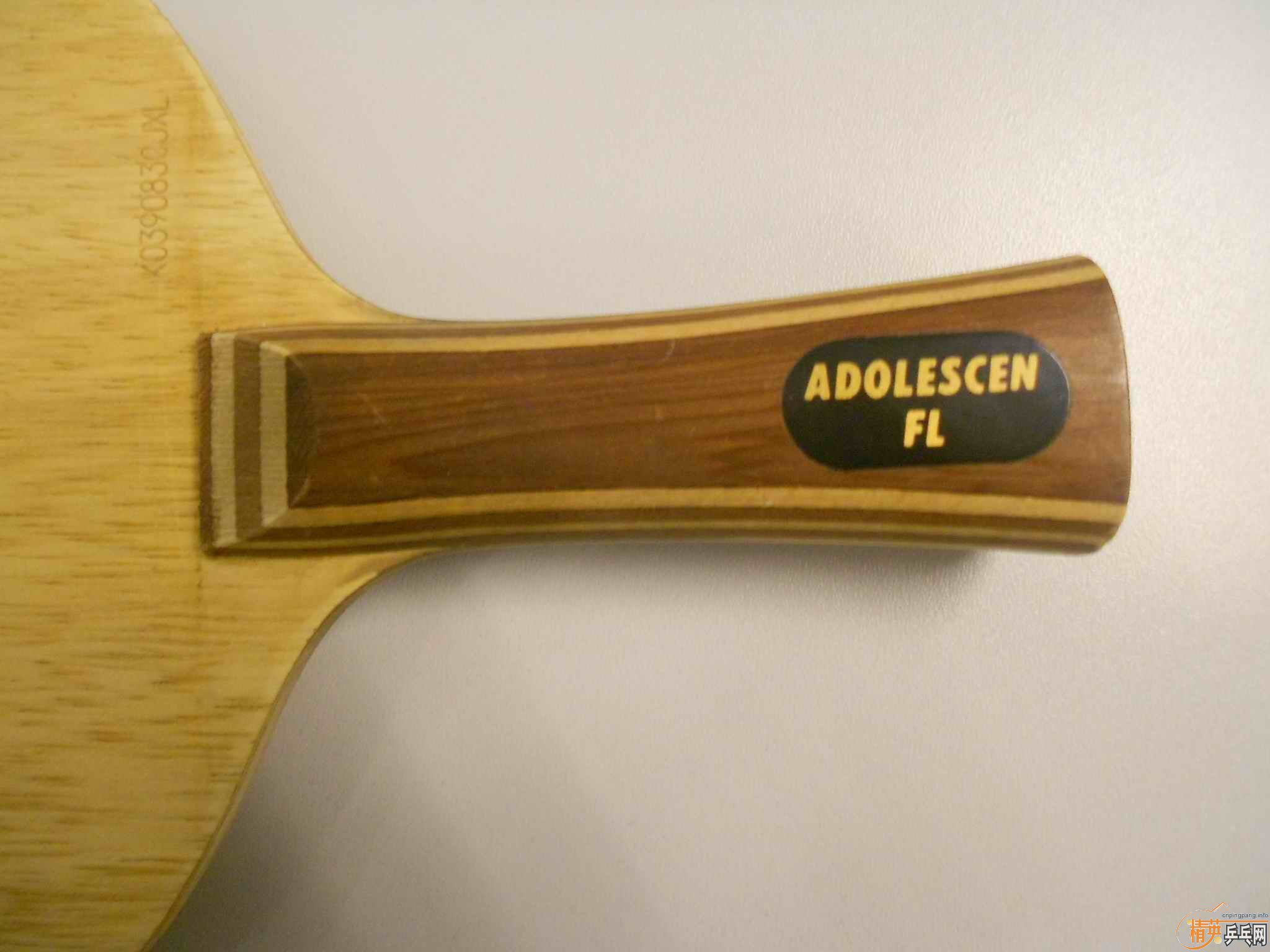 ˹�ٿ�CL��������գ�������ͣ�EL,��T25�������F1