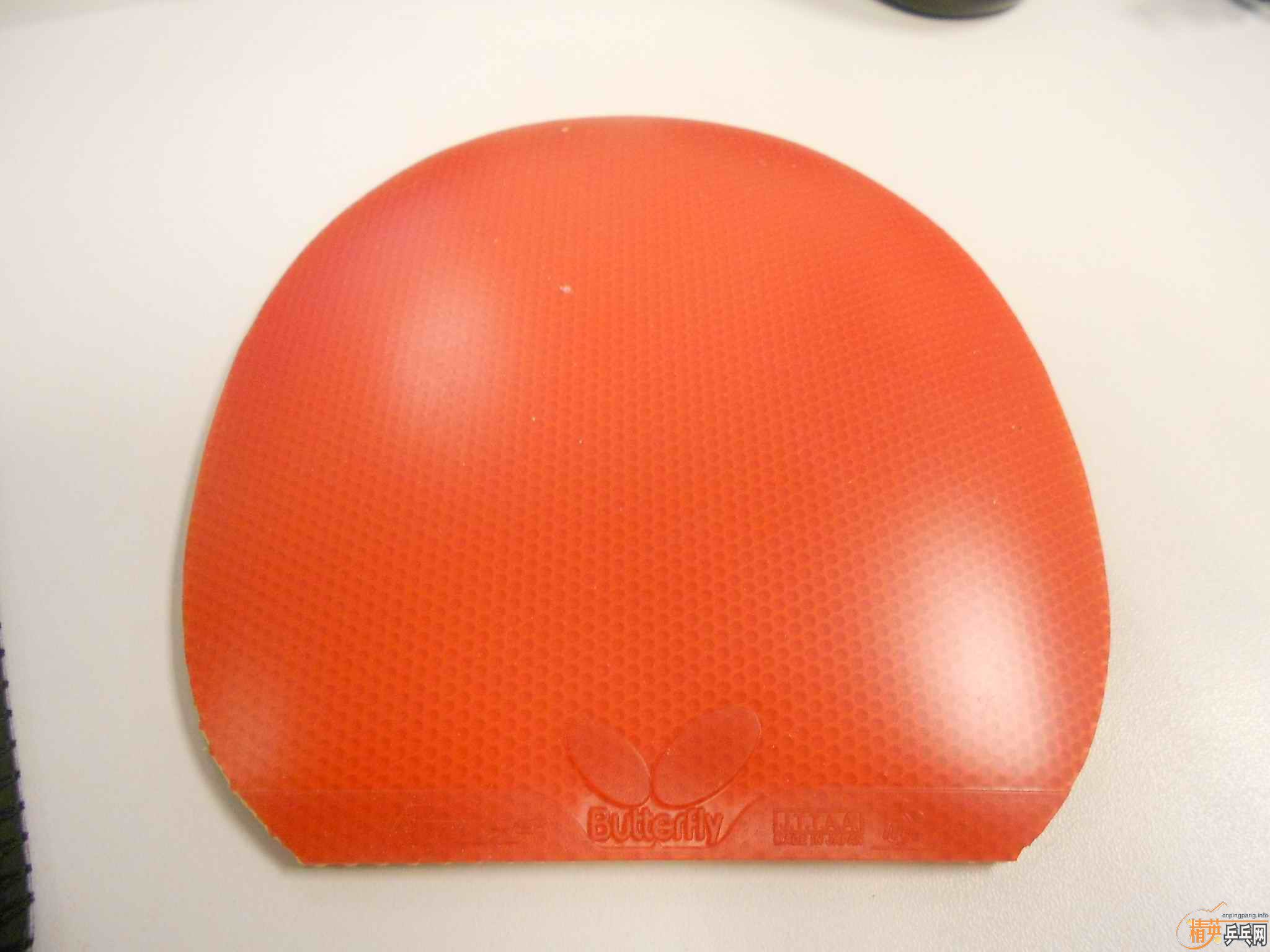 ˹�ٿ�CL��������գ�������ͣ�EL,��T25�������F1