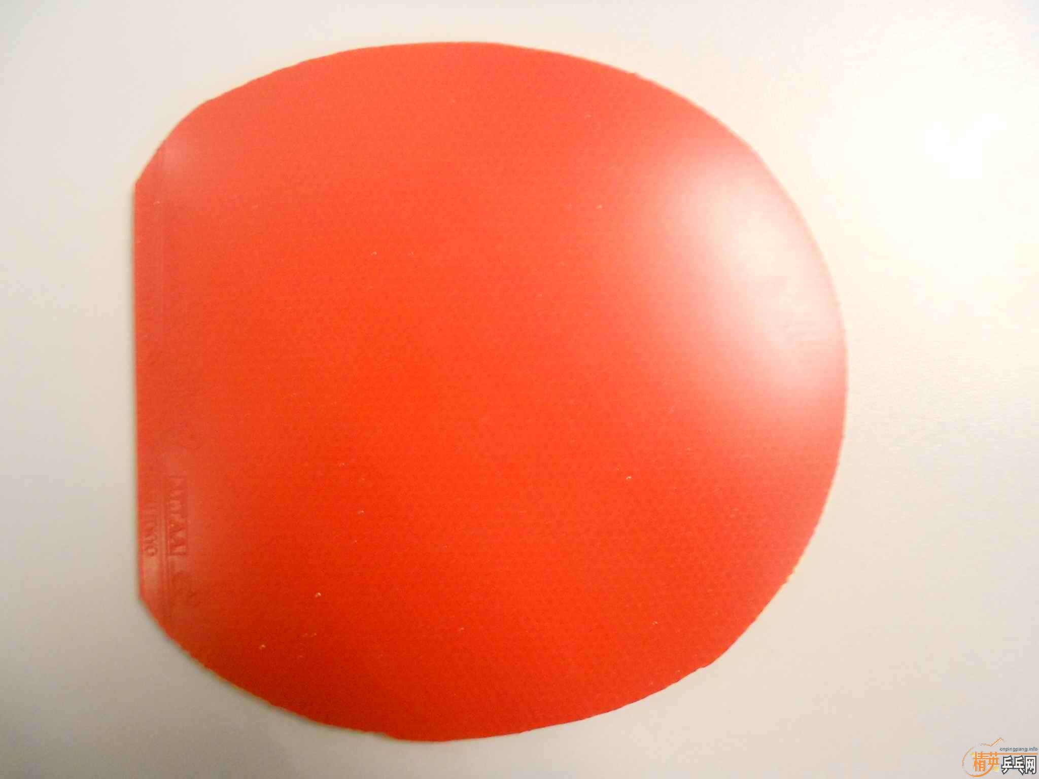 ˹�ٿ�CL��������գ�������ͣ�EL,��T25�������F1