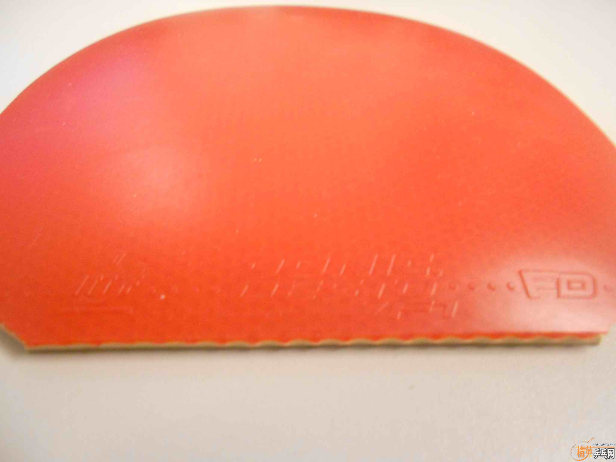 ˹�ٿ�CL��������գ�������ͣ�EL,��T25�������F1