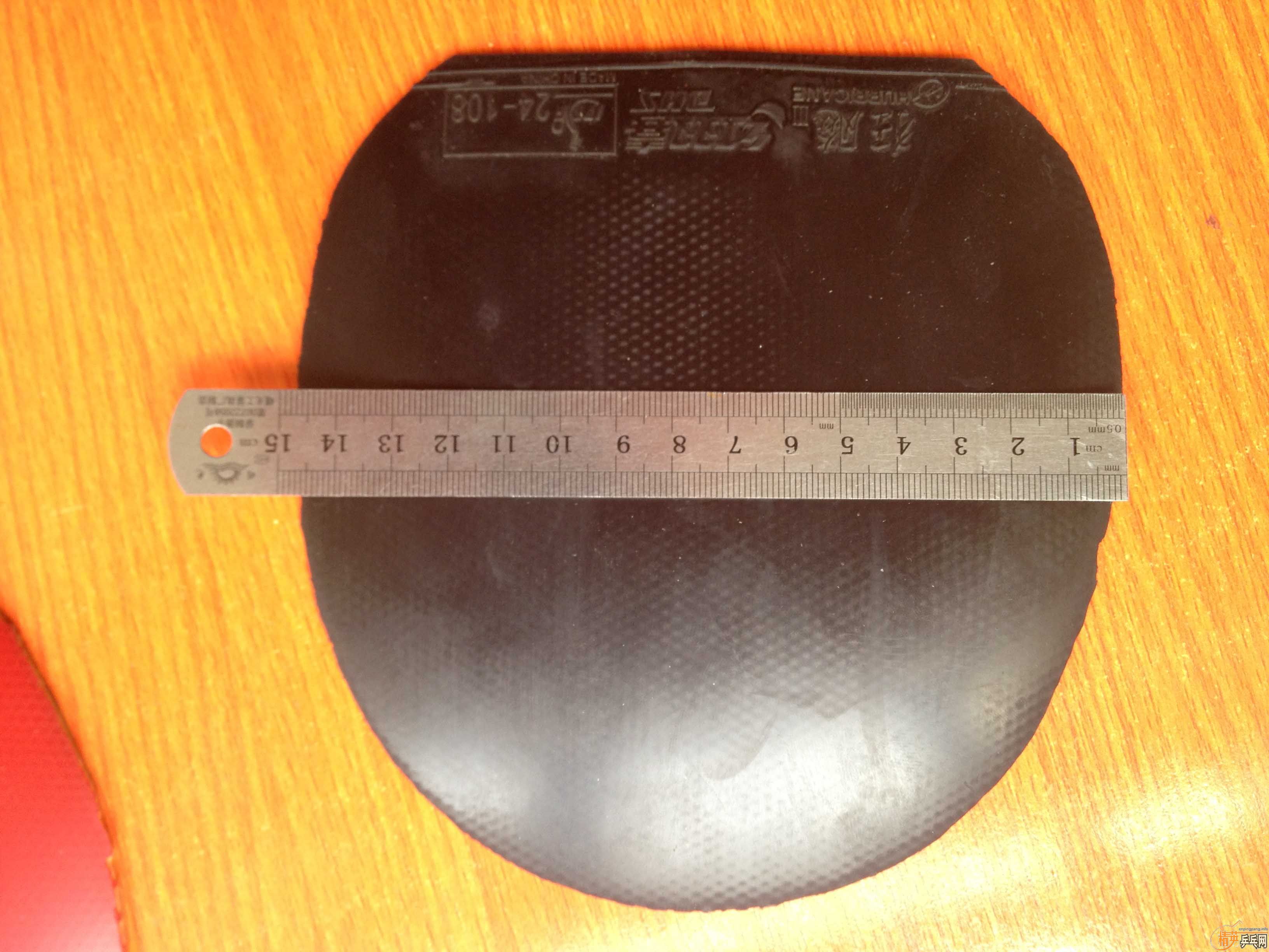 �����ʡ��+++++����˹����EL��Ҫ�����ѽ�������