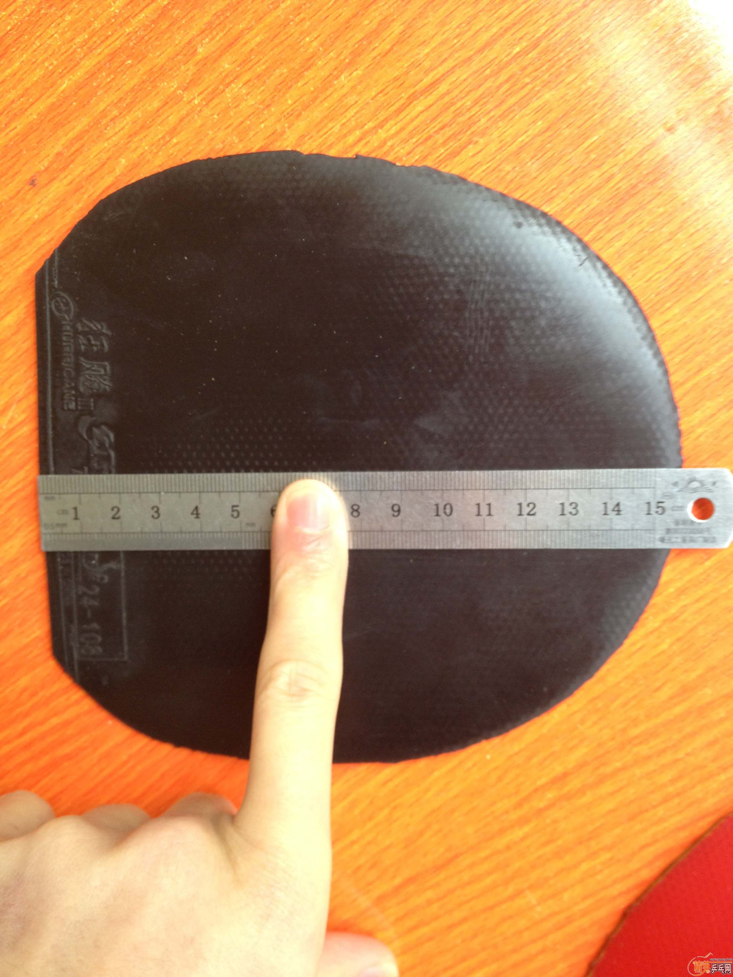 �����ʡ��+++++����˹����EL��Ҫ�����ѽ�������