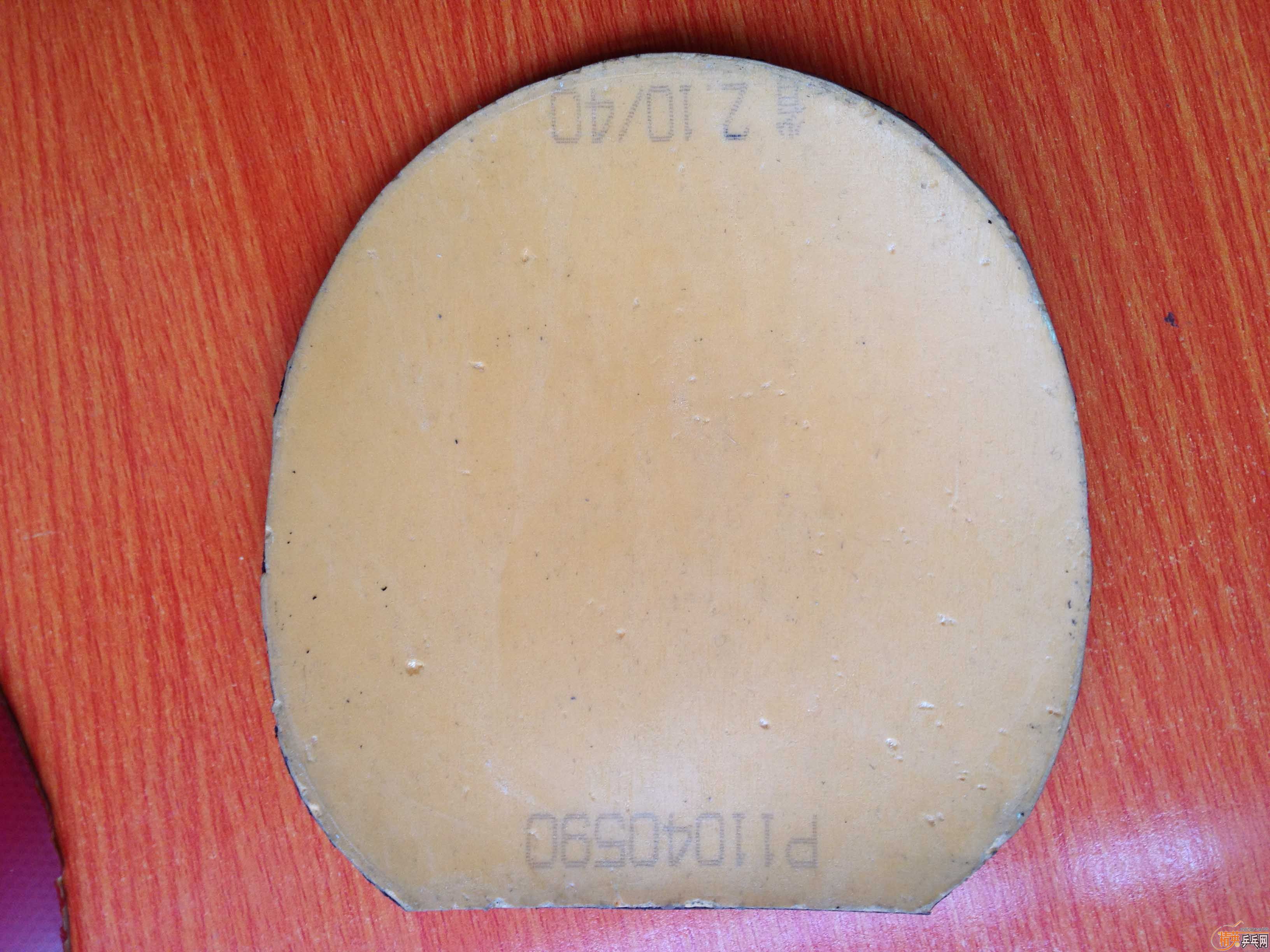 �����ʡ��+++++����˹����EL��Ҫ�����ѽ�������