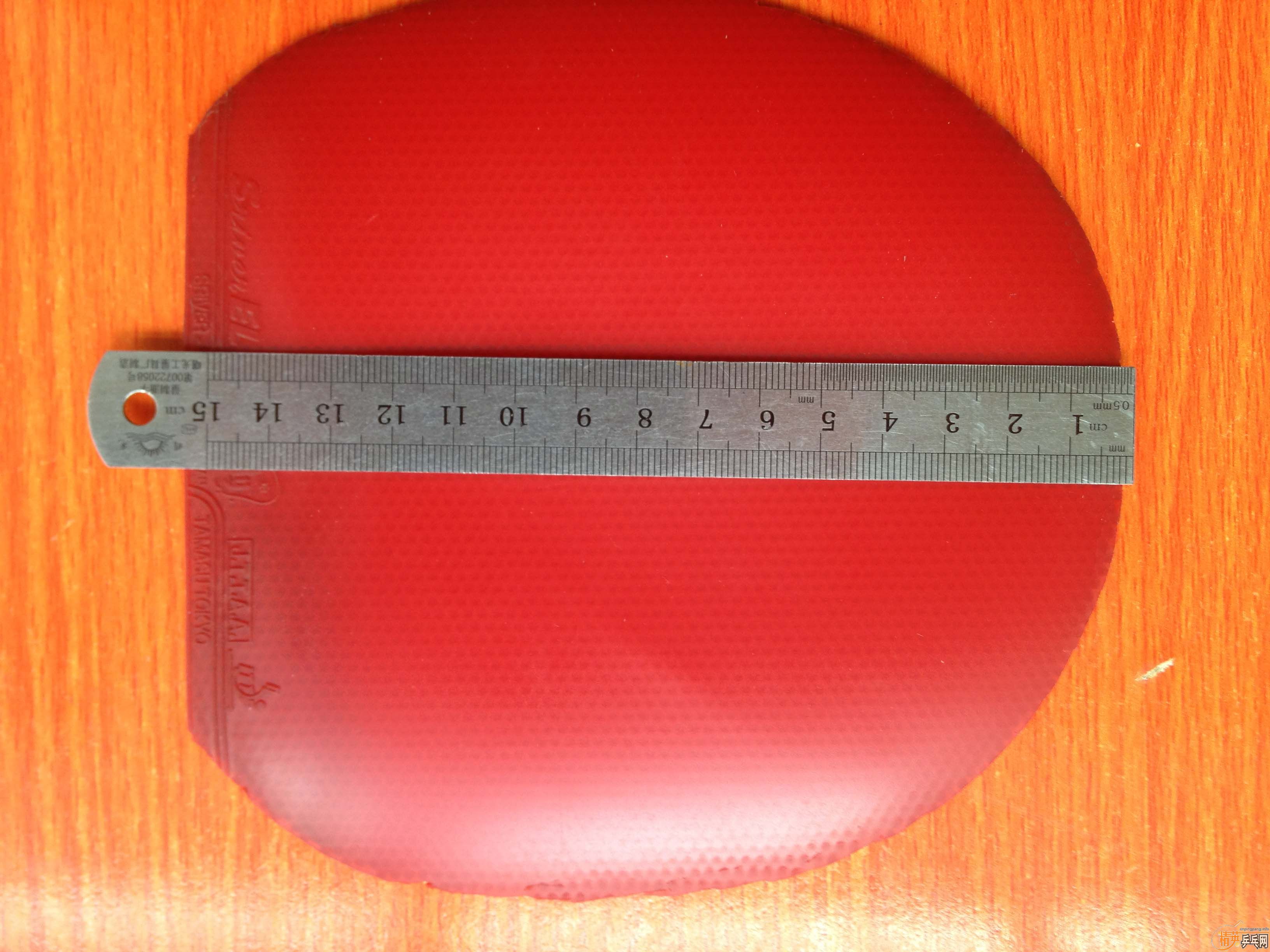 �����ʡ��+++++����˹����EL��Ҫ�����ѽ�������