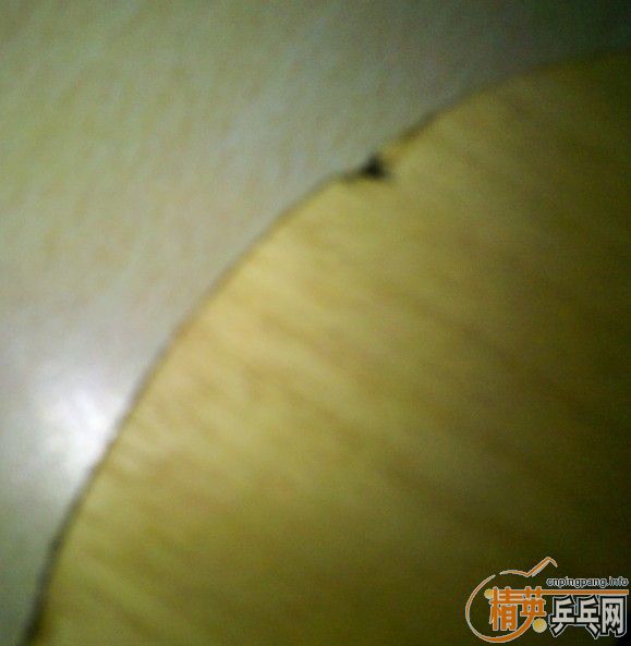 �ͼ۳��ۺ���������