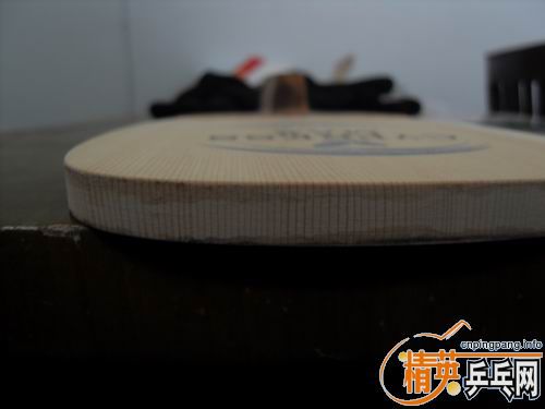 [ԭ��]areix�Ѿ�����,������MAX