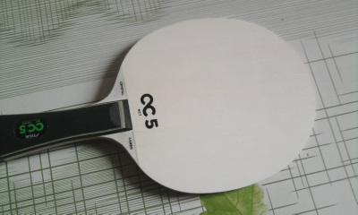 [ԭ��]ŷ��cc5 fl����550���ʣ�֧�������ף�