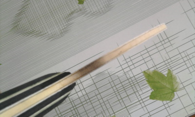 [ԭ��]ŷ��cc5 fl����550���ʣ�֧�������ף�