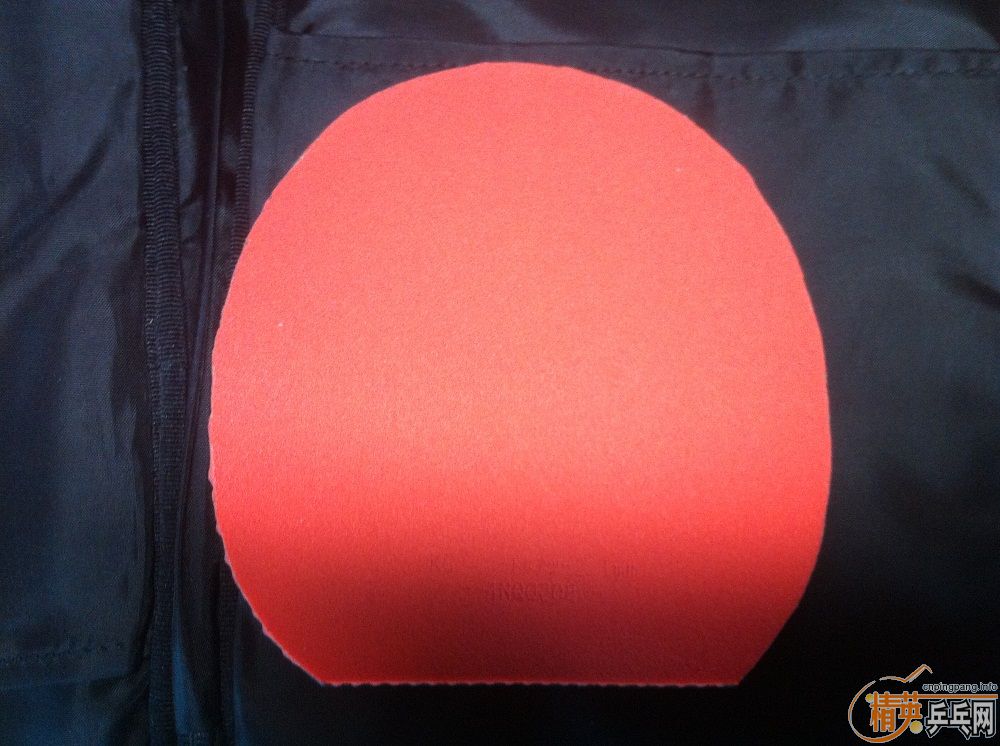 ~~~boll+T05+T64~~~~