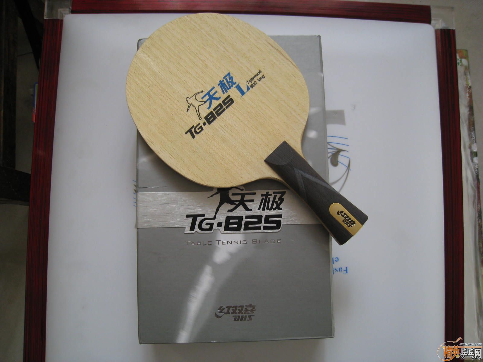 235Ԫ����ݳ���˫ϲ�켫825�װ�