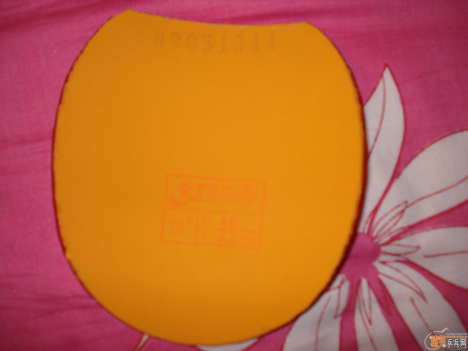 �����Ŷ��ֵ�ʡ���켫��Ƥ