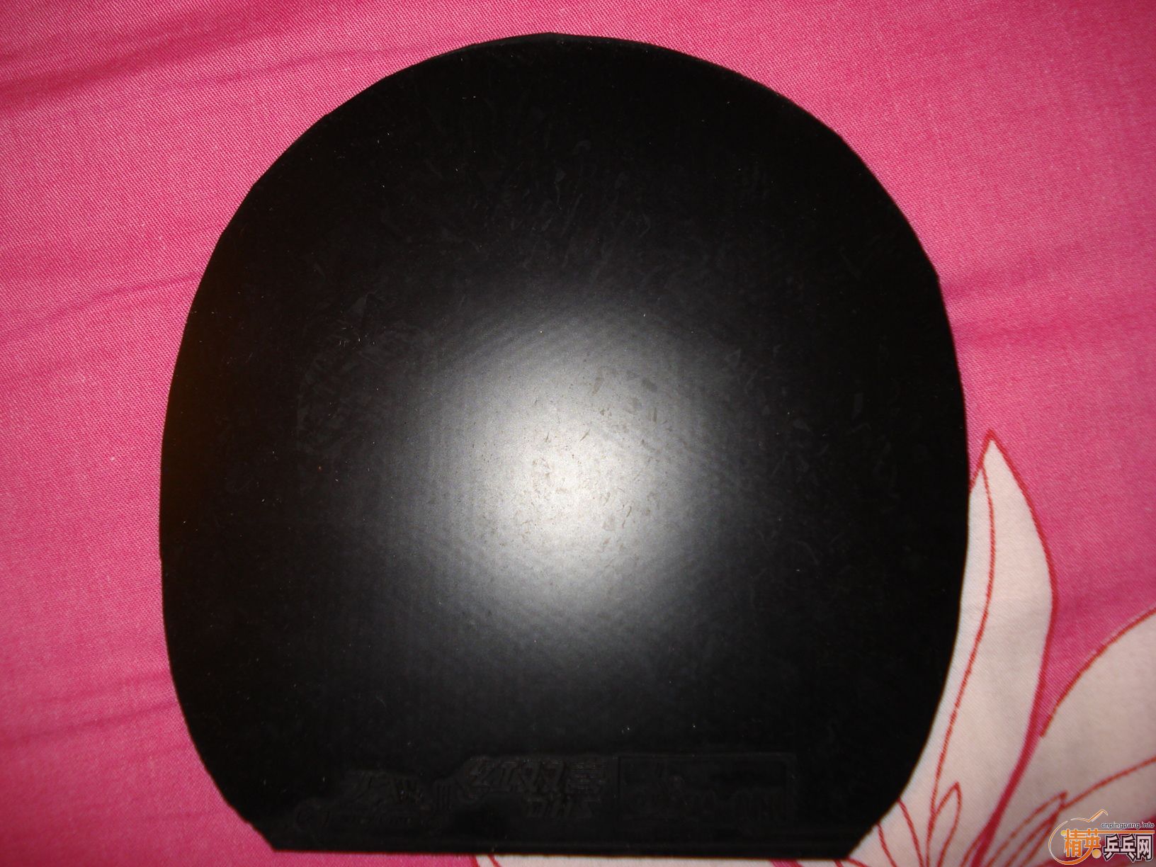 �����Ŷ��ֵ�ʡ���켫��Ƥ