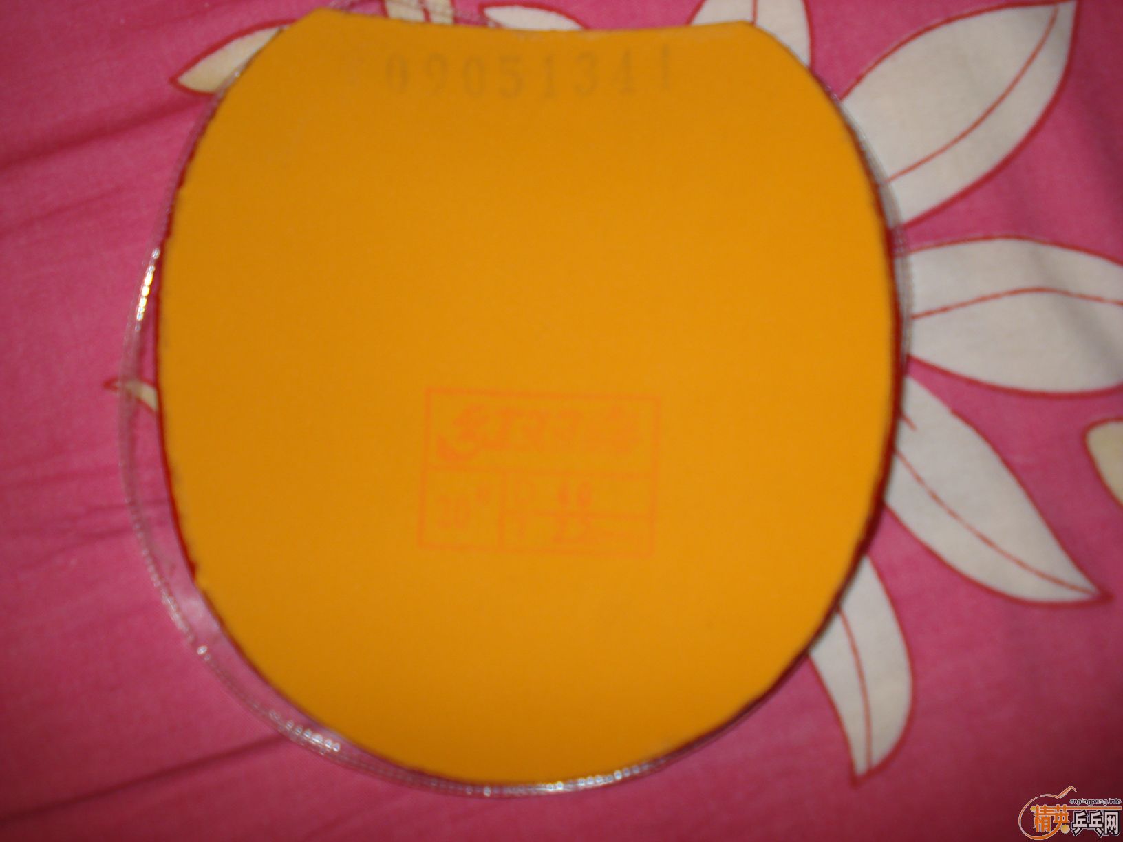 �����Ŷ��ֵ�ʡ���켫��Ƥ