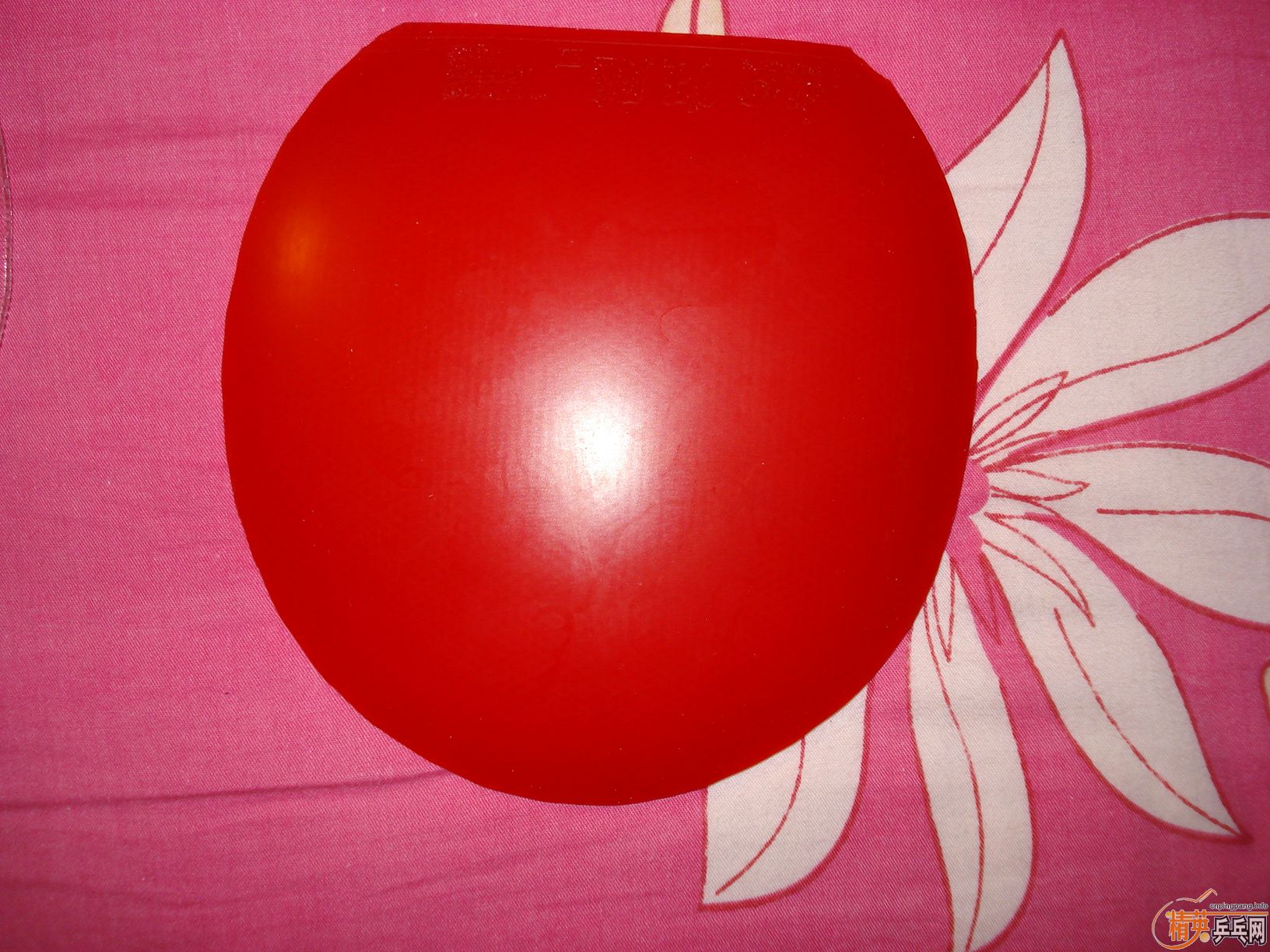 �����Ŷ��ֵ�ʡ���켫��Ƥ