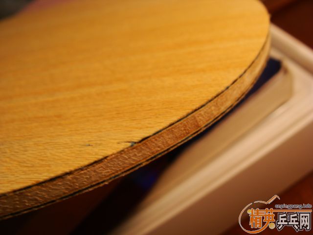 �ż̿�FL��DONIC ����X2