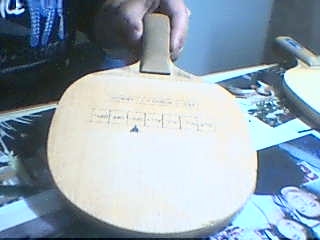 ���������㴿ľ����˳�