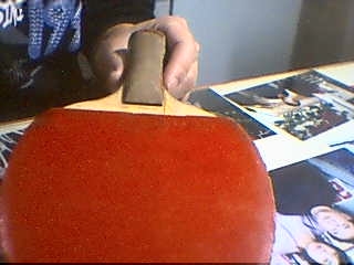 ���������㴿ľ����˳�