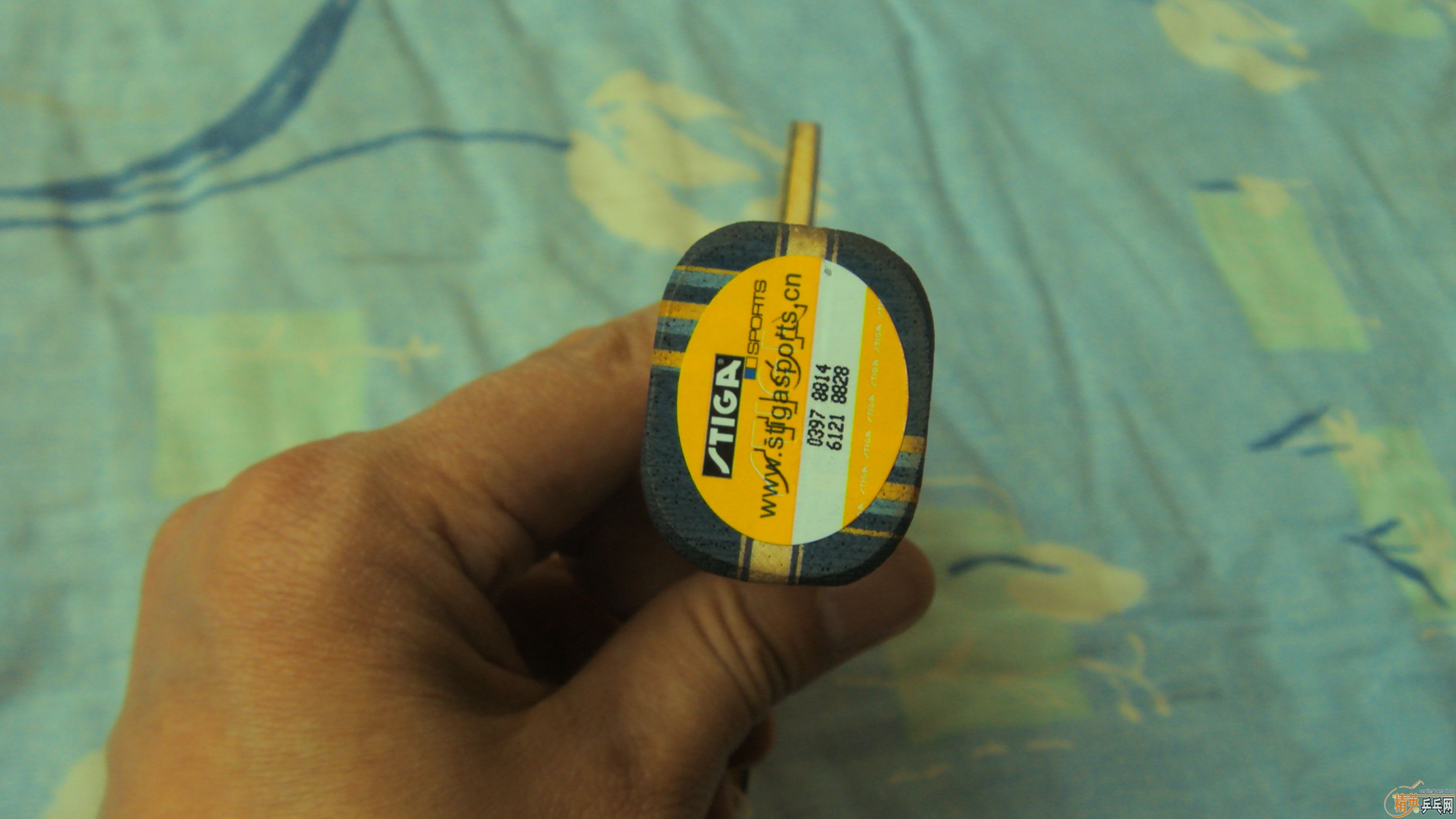 [����]���л�EG�������ᣬ֧����