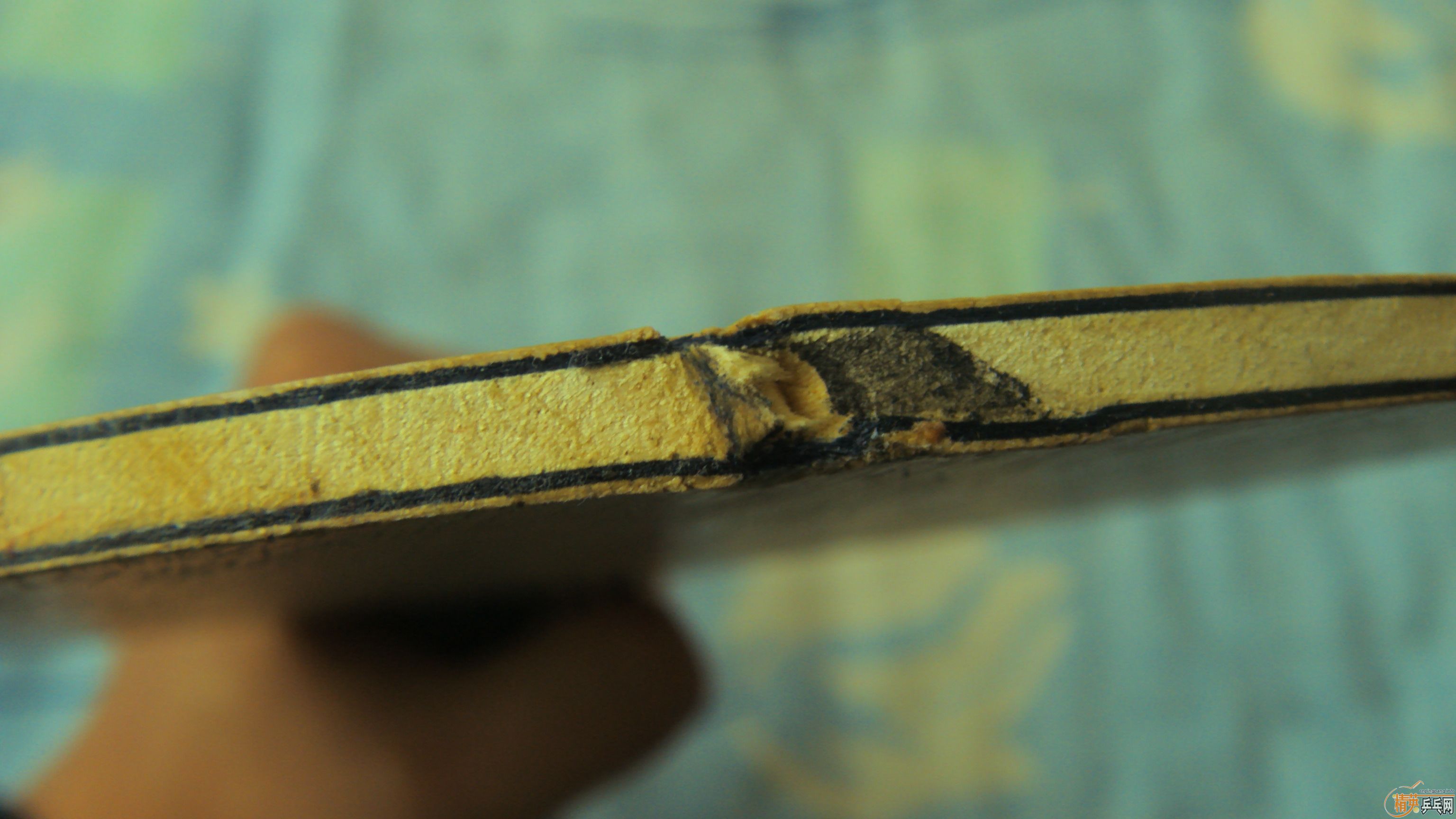 [����]���л�EG�������ᣬ֧����