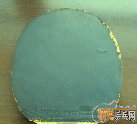 [����]���л�EG�������ᣬ֧����