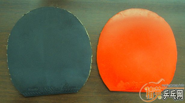 [����]���л�EG�������ᣬ֧����