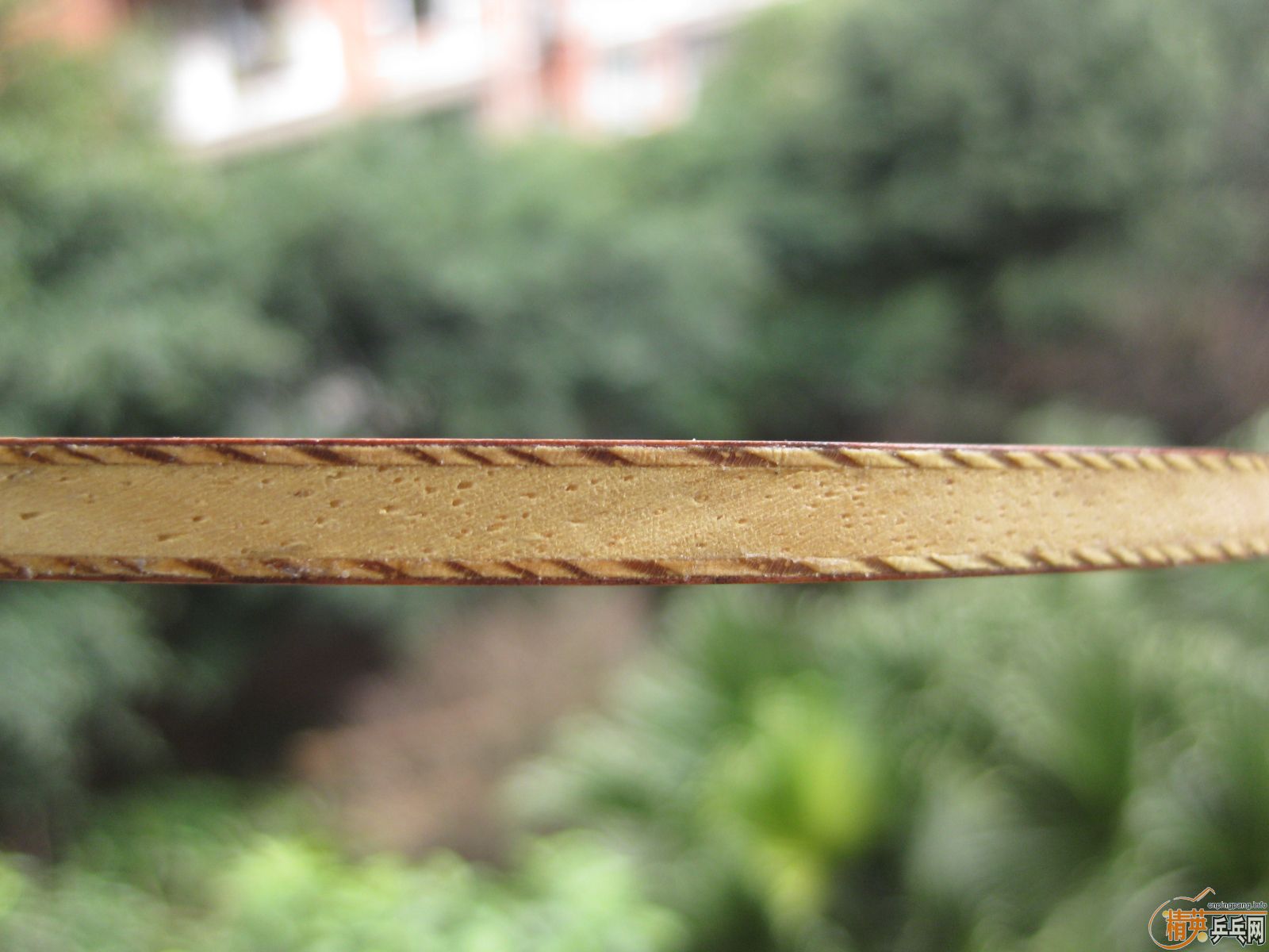 ���л�õ��5��FL����