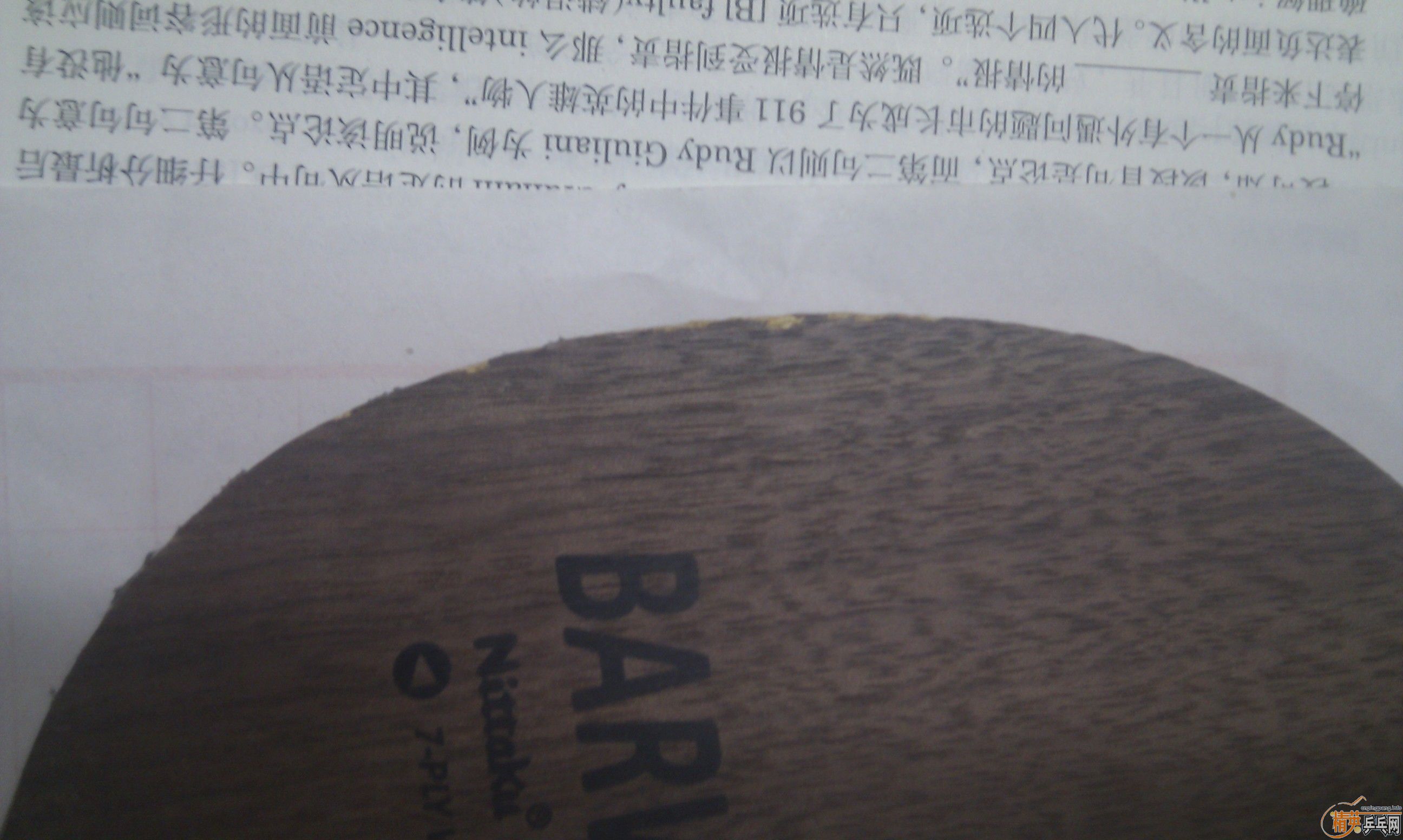 ����ë������ë Ҳ�ɵ���